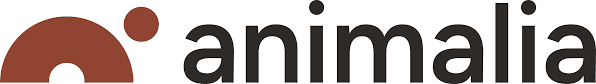 Animalia