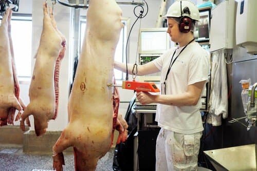 Real-Time Slaughterhouse Monitoring