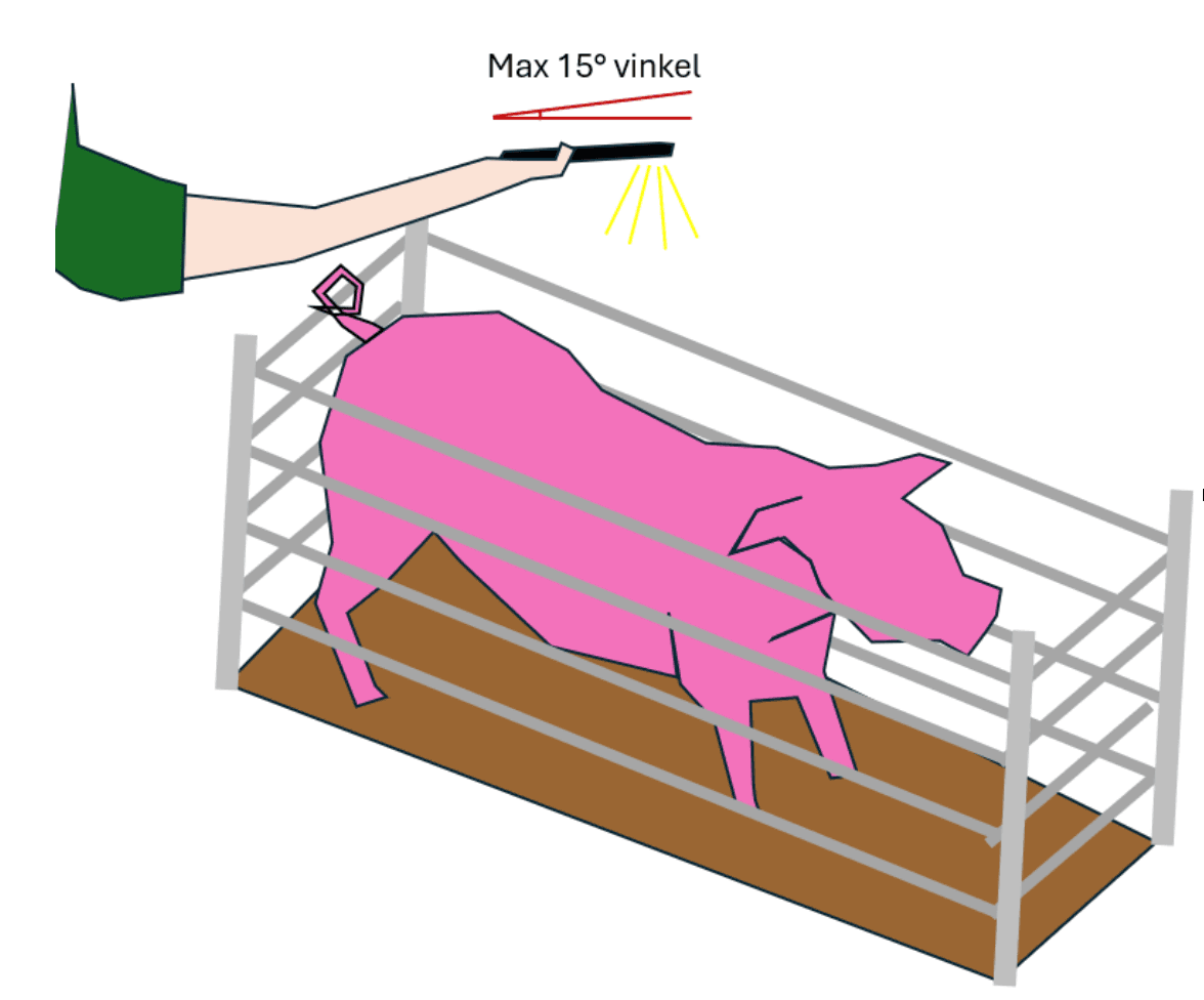 Illustration of capturing a pig image from above at a maximum 15° angle